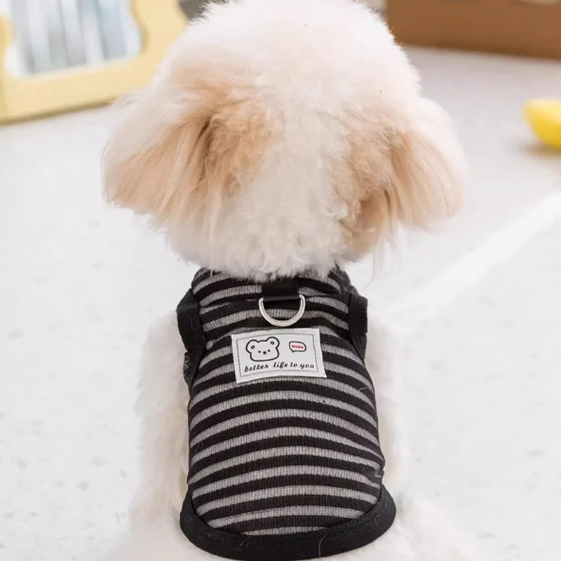 Breathable Mesh Pet Dog Vest Dog Summer Clothes Thin Cooling T Shirt Chihuahua Bichon Costume Cat Clothing Girls Puppy Shirt New