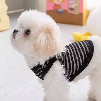 Breathable Mesh Pet Dog Vest Dog Summer Clothes Thin Cooling T Shirt Chihuahua Bichon Costume Cat Clothing Girls Puppy Shirt New